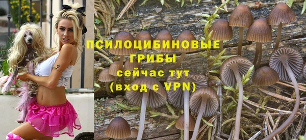 кокс Аркадак