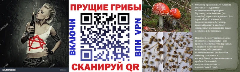 Галлюциногенные грибы ЛСД  Сухиничи 